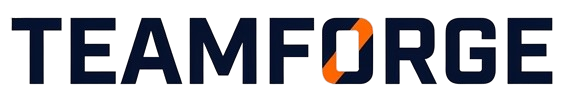 TEAMFORGE